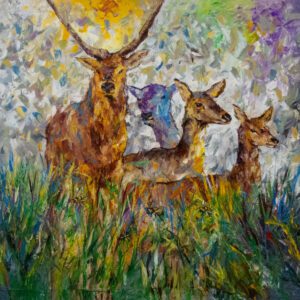 LES ANTILOPES